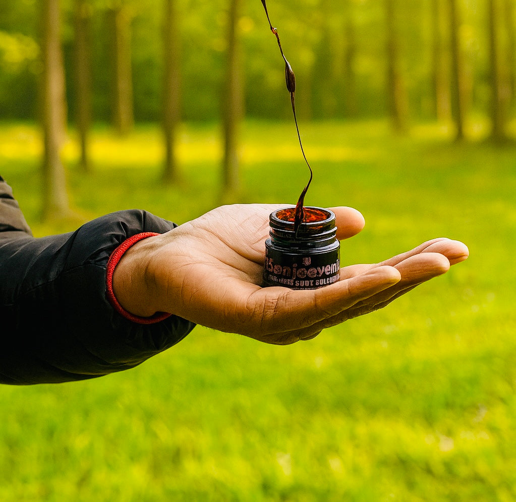 Himalayan Shilajit Resin Gold 10Gm