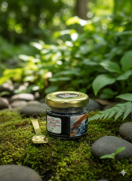 Himalayan Shilajit Resin Gold 30Gm