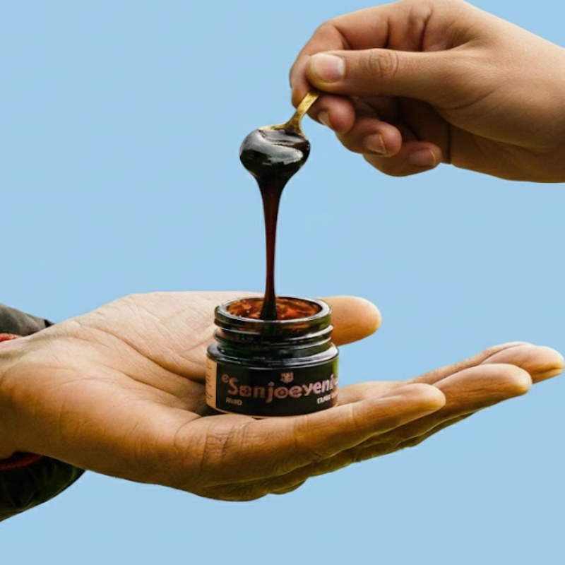 Himalayan Shilajit Resin Gold 30Gm